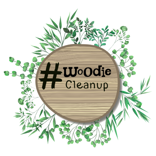 מבצע הניקיון של וודי