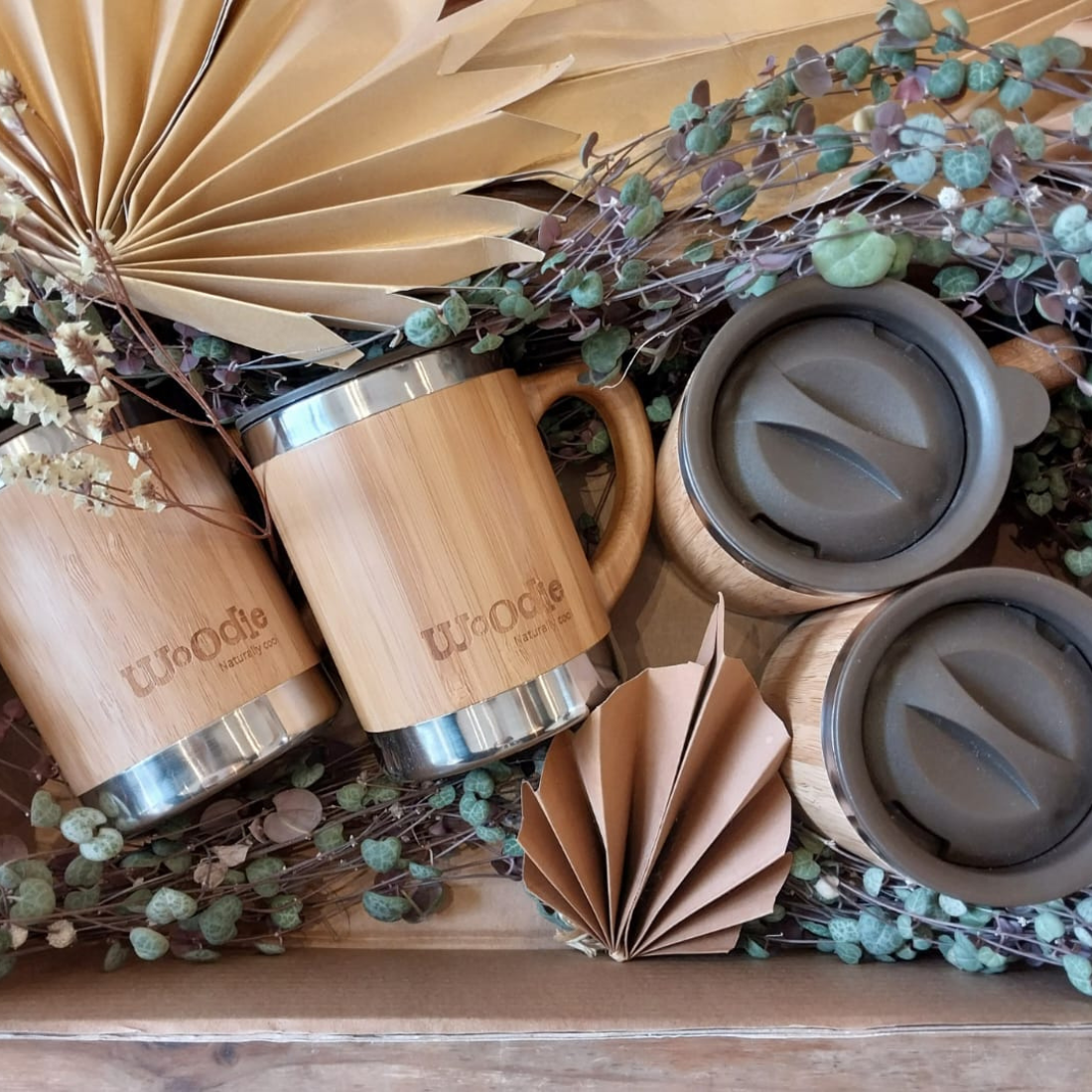 מארז 4 ספלים