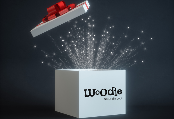 🎁מבצע מתנה🎁